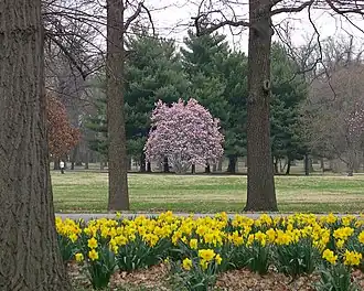 Tower Grove Park nabij de Stone Shelter