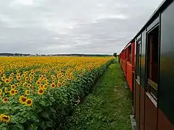 Train des Mouettes bij Saujon