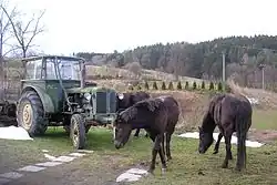 Boerderij nabij het dorp (2007)
