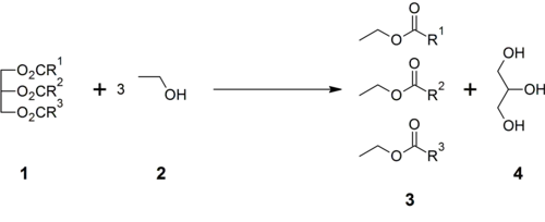 Hydrolyse van triglyceriden ter productie van glycerol