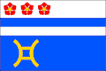 Vlag