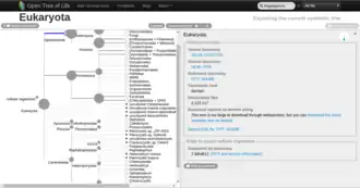 Open Tree of Life op het knooppunt Eukaryota
