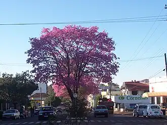 De hoofdstraat Av. Júlio de Castilhos in Três Passos