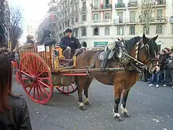 Paardenkar in Catalonië