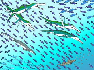 Clidastes (onder) en de polycotylide plesiosauriër Trinacromerum.