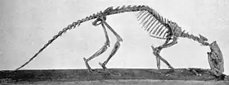 Tritemnodon