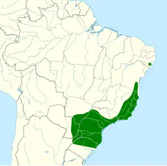 Atlantische zwartkeeltrogon