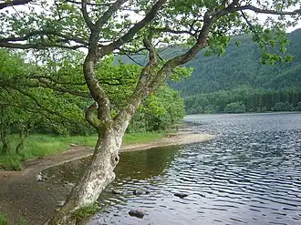 Een loch in de Trossachs.