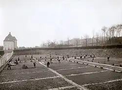 Praktische opleiding tuinder.