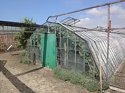 Een van de drie soorten kassen op het terrein