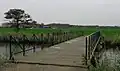 Inundatiekanaal: Vaste IJzeren Brug.