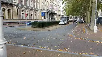 Professor Tulpplein (oktober 2019)