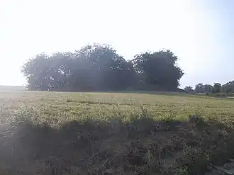 Tumulus van Xhendremael