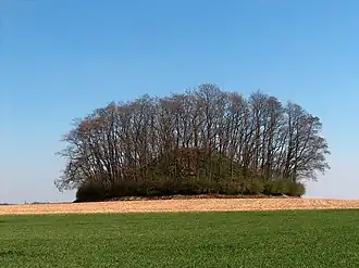 Tumulus van Hottomont