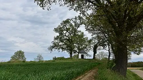 Tumulus van Wouteringen met Sint-Eligiuskapel