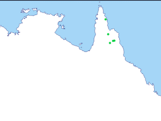 Cape-Yorkvechtkwartel