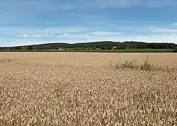 Akker tussen Dissen en Hilter