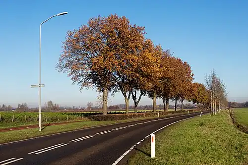 Bomen aan de Sint Hubertusweg