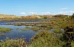 Duingebied Pettemerduinen