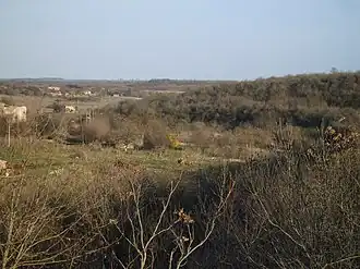 Panoramische zicht op het dorp Tvarditsa in oblast Dobritsj