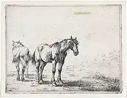 Twee paarden in een landschap