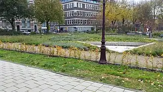 tweede Weteringsplantsoen, voor de fontein, achter de speeltuin (november 2019)