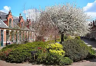 Binnenplaats, voorjaar 2008