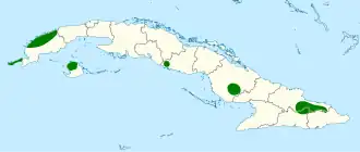 Cubaanse koningstiran
