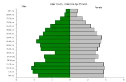 Bevolkingspiramide Adair County