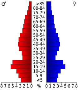 Bevolkingspiramide Allegany County