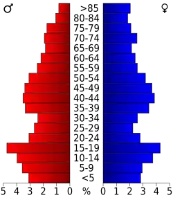 Bevolkingspiramide Allen County