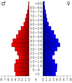 Bevolkingspiramide Anoka County