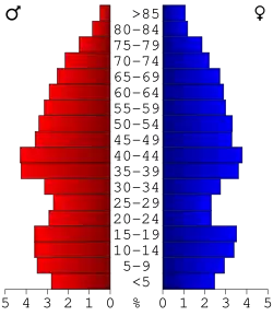 Bevolkingspiramide Arenac County