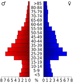 Bevolkingspiramide Arlington County