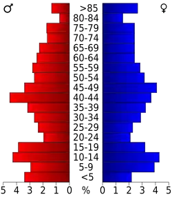Bevolkingspiramide Armstrong County