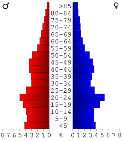 Bevolkingspiramide Bannock County