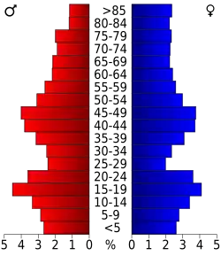 Bevolkingspiramide Barnes County