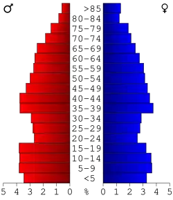 Bevolkingspiramide Barry County