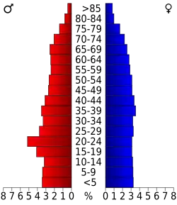 Bevolkingspiramide Beaufort County