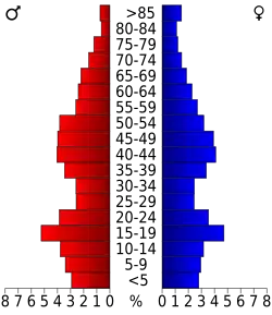 Bevolkingspiramide Beaverhead County