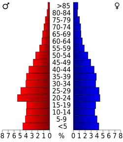Bevolkingspiramide Bell County