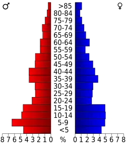Bevolkingspiramide Bennett County