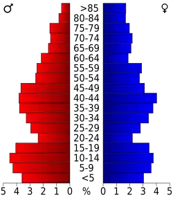 Bevolkingspiramide Benton County