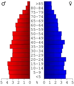 Bevolkingspiramide Benton County