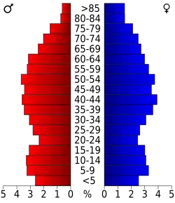 Bevolkingspiramide Benton County