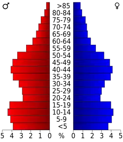Bevolkingspiramide Benton County
