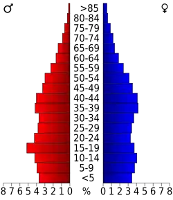 Bevolkingspiramide Berkeley County