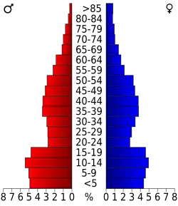 Bevolkingspiramide Big Horn County