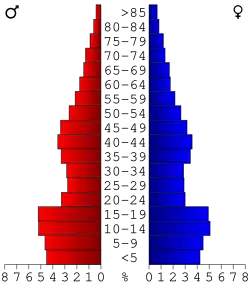 Bevolkingspiramide Bingham County