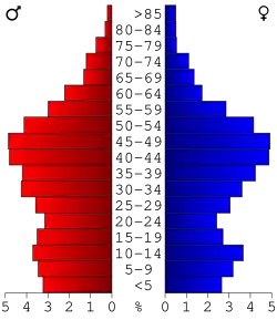 Bevolkingspiramide Blaine County